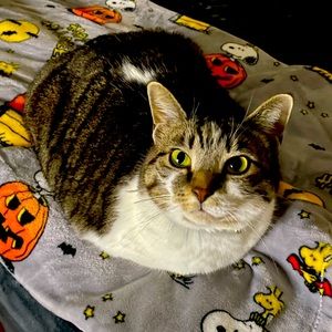 Meet your Posher, Alex